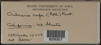 Image Associated With the Occurence